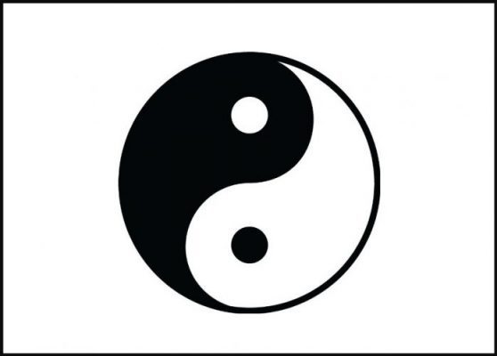 ai vrut sa stii vreodata despre Yin Yang.