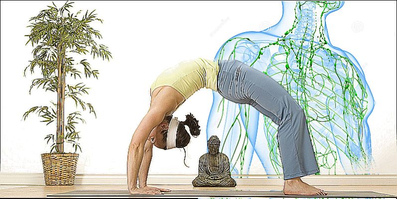 yoga si sistemul limfatic